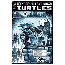 TEENAGE MUTANT NINJA TURTLES - ESPECIAL 40 ANIVERSARIO