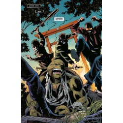 TEENAGE MUTANT NINJA TURTLES: EL ÚLTIMO RONIN – LOS AÑOS PERDIDOS