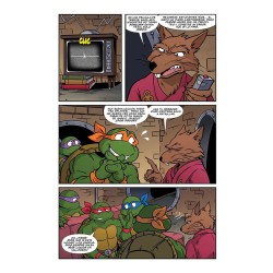 TEENAGE MUTANT NINJA TURTLES - LAS AVENTURAS ANIMADAS 3
