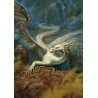 INFINITO INTERIOR: EL ARTE DE CIRUELO