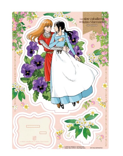 LOS SIETE CABALLEROS DEL REINO MARRONNIER 7 (Ed. con acrílico)